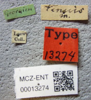 Media type: image;   Entomology 13274 Aspect: labels